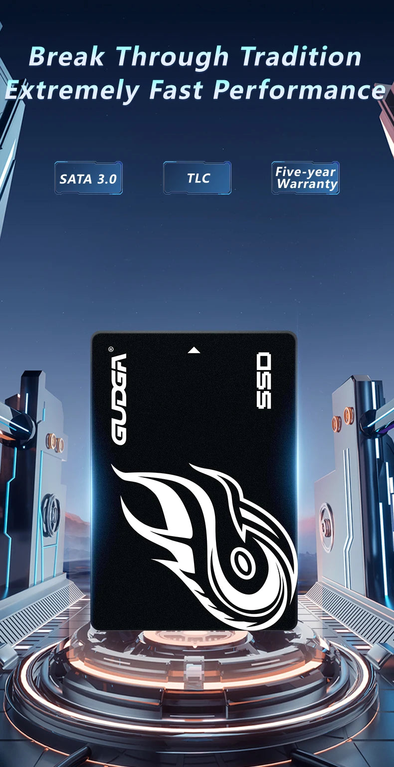 Gudga 2.5 Inch SATA III Internal Solid State Drive