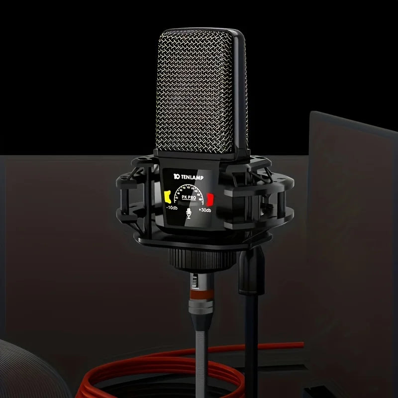 Tenlamp PKPRO Large Diaphragm Condenser Microphone, Dual-Circuit Professional Studio Recording Mic With 26mm Gold-Plated Sound Head, Phantom Power Compatible, Connection For Gaming, Singing, Karaoke, Video Conferencing - Stan
