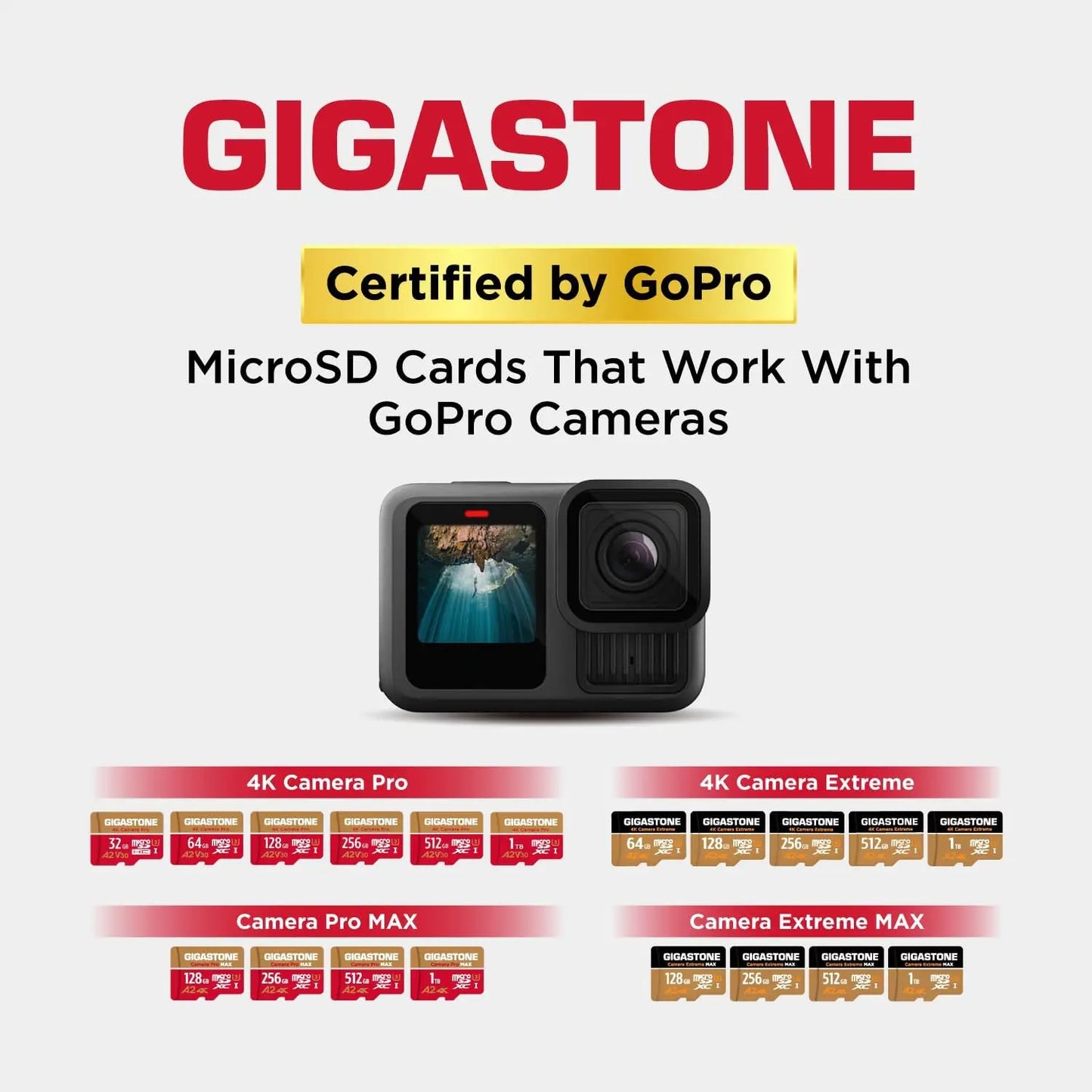 64GB Micro SD Card with 5-Year Data Recovery, UHS-I U3 A2 V30 for 4K Video Recording and Gaming on GoPro, DJI Drone, Nintendo
