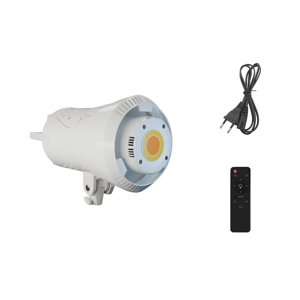 SH  220V 90/115/135W Photography COB Video Light With pulley bracket Daylight-Balanced Sun Lamp for Portrait Flash Studio