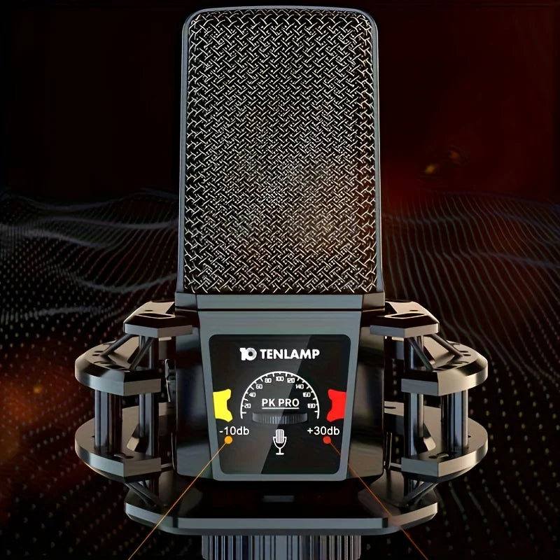 Tenlamp PKPRO Large Diaphragm Condenser Microphone, Dual-Circuit Professional Studio Recording Mic With 26mm Gold-Plated Sound Head, Phantom Power Compatible, Connection For Gaming, Singing, Karaoke, Video Conferencing - Stan