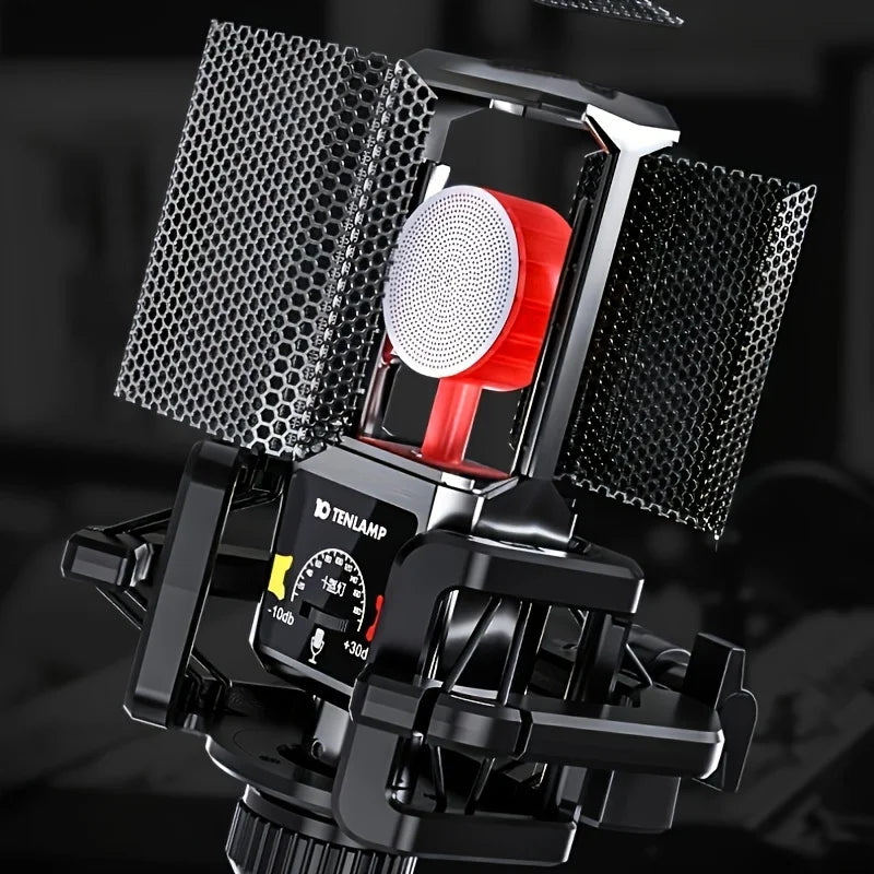 Tenlamp PKPRO Large Diaphragm Condenser Microphone, Dual-Circuit Professional Studio Recording Mic With 26mm Gold-Plated Sound Head, Phantom Power Compatible, Connection For Gaming, Singing, Karaoke, Video Conferencing - Stan