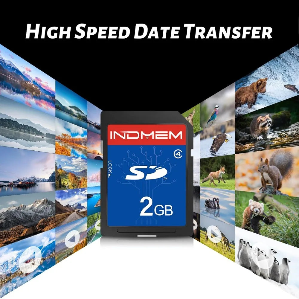 10 Packs 2GB Class 4 SD Flash Memory Cards for Cameras